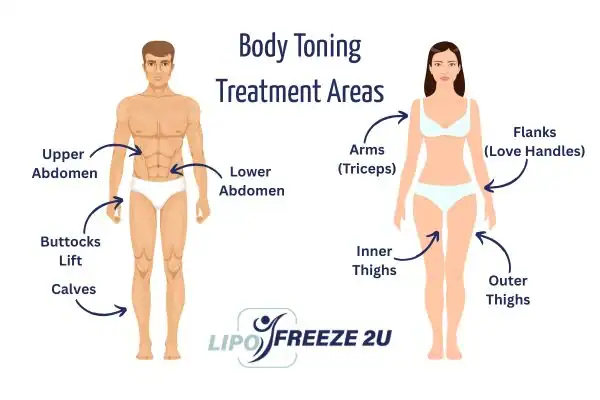 Graphic showing where you can have Body toning Treatment Harwich on your body
